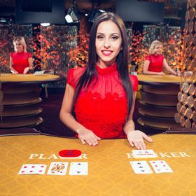 Baccarat Staxino